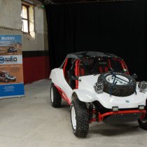 TVE - exposition BUGGY